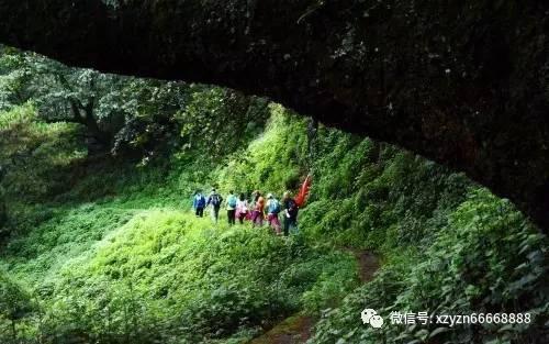 比特币是以什么作为底层技术的虚拟加密货币